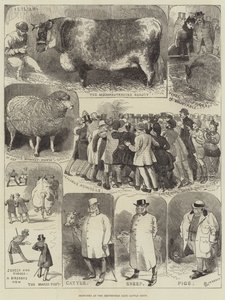 Esboços no Smithfield Club Cattle Show